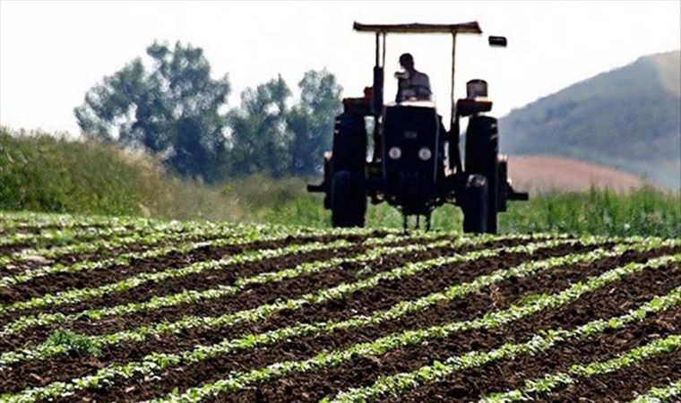 TÜİK: Tarım ürünleri üretici fiyat endeksi, yıllık yüzde 35,54 arttı